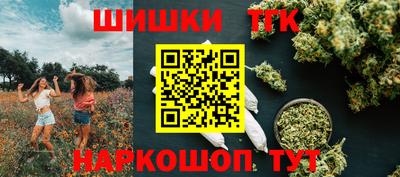стафф Камышлов
