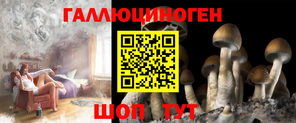 где купить наркоту  Вход с VPN  Краснокаменск  Псилоцибиновые грибы GOLDEN TEACHER 